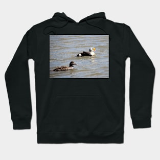 Eiders Hoodie